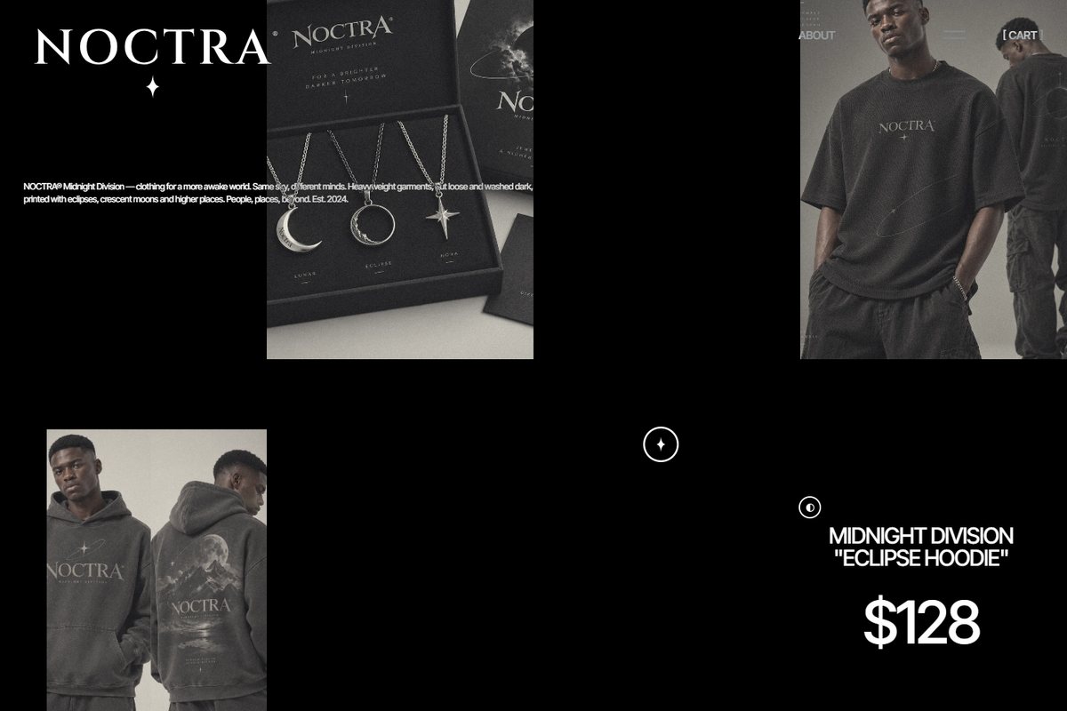 NOCTRA concept site: the archive gallery scaling in on a black panel